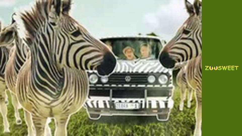 Сіяйа, Сезон 2, Випуск 5