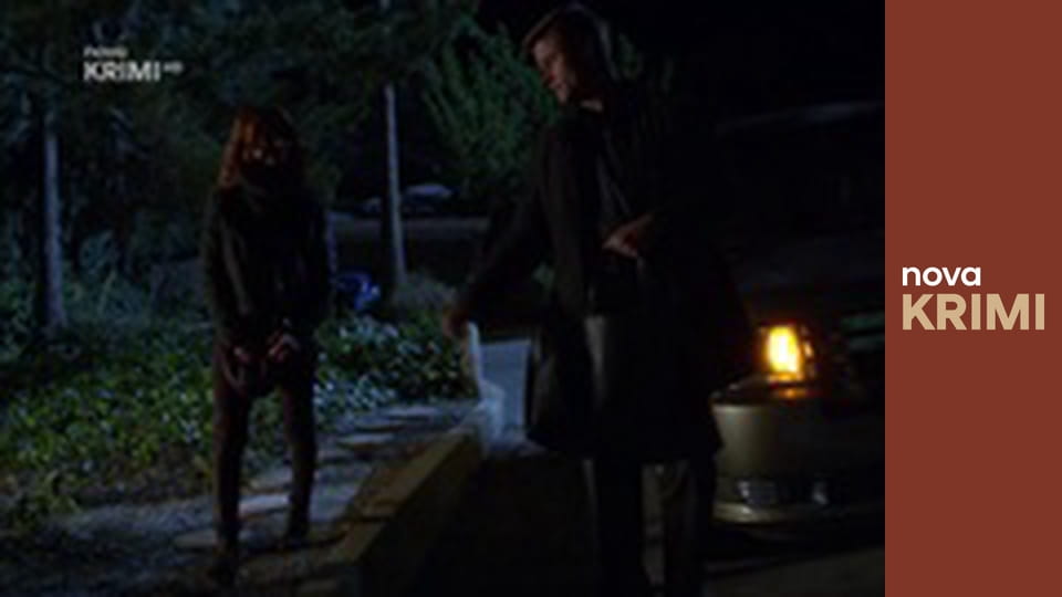 Myšlenky zločince S11E12