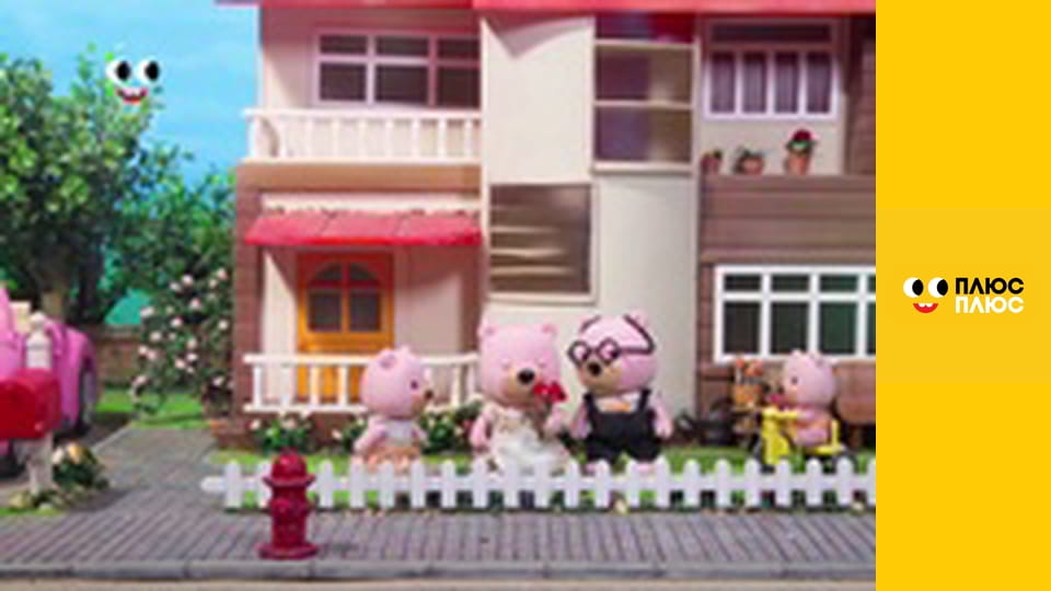 Історія жителів Сильванії