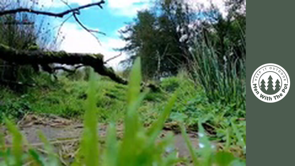 Very juicy chicken with sauce in a crispy tortilla