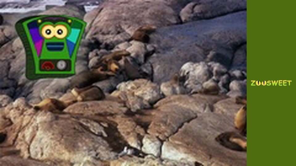 Мои друзья животные. Подводная миссия - серия 22