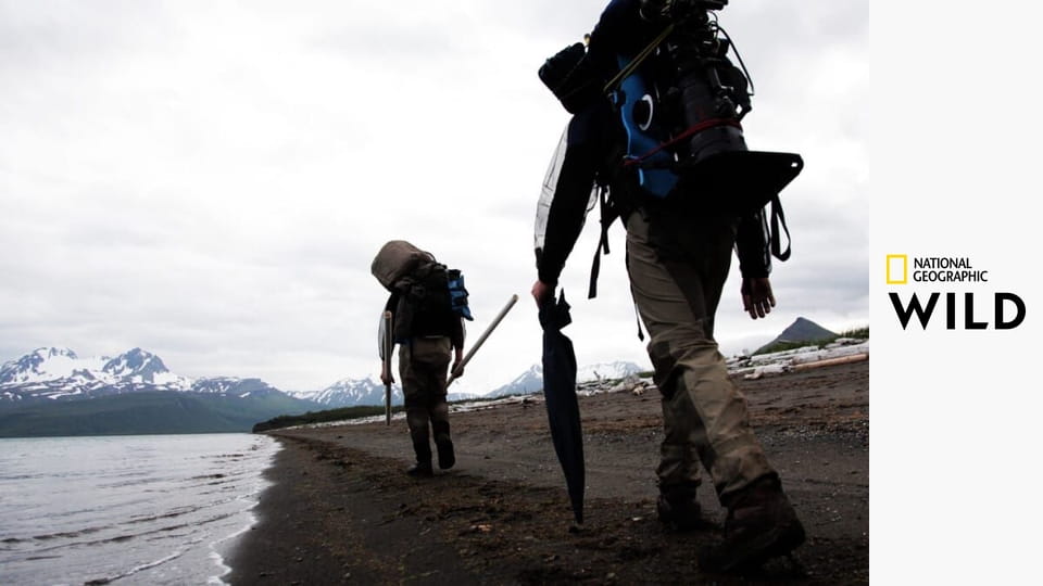 Дикая природа Аляски