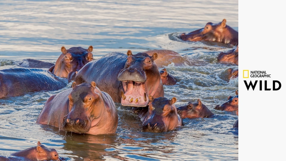 Самые опасные убийцы S1E1 - Леди-убийцы