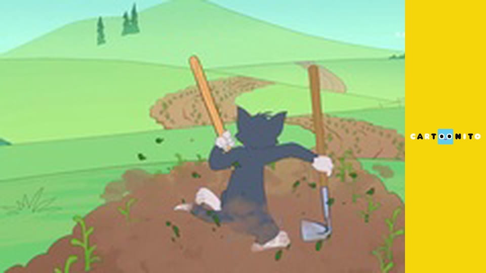 Show Toma a Jerryho S4E20 - Počítání oveček