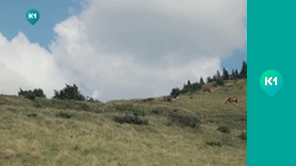 "Крафтові мандри" с Евгением Синельниковым.