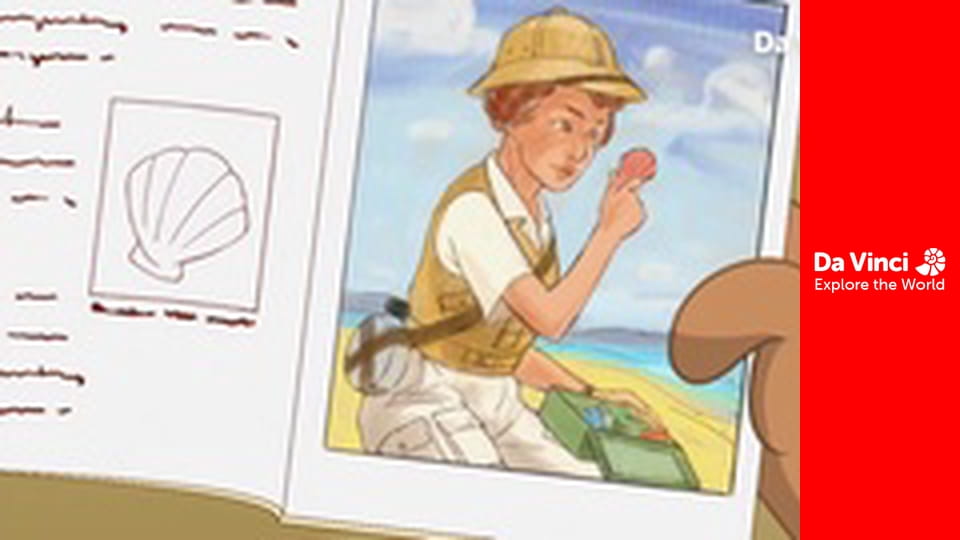 Дарвін і Ньютс - Яєчна експедиція - Птахи відкладають яйця залежно від свого розміру