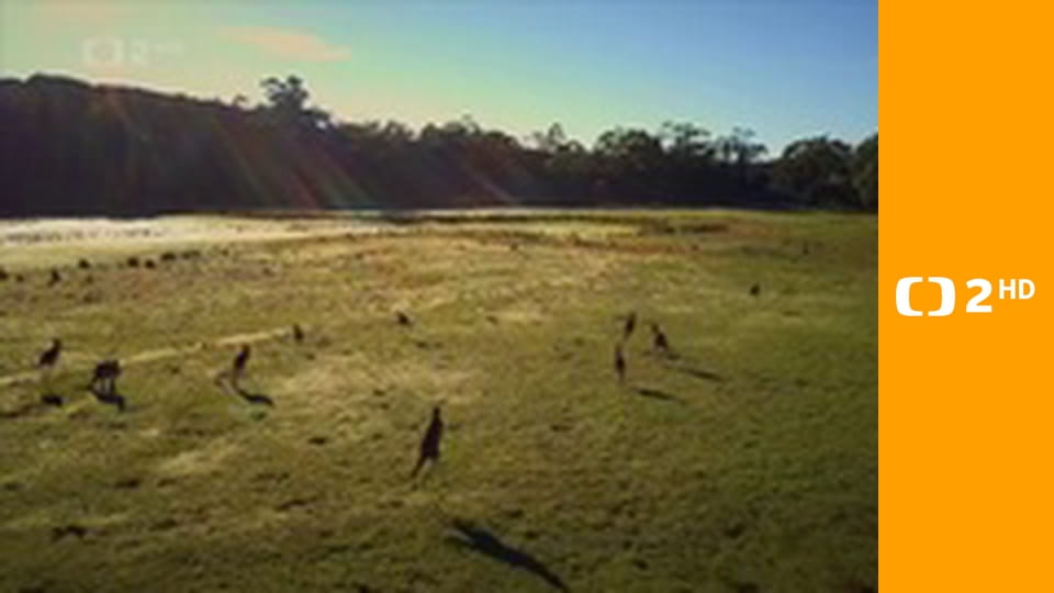 Zvířecí odysea E4 - Cesta eurasijského koně