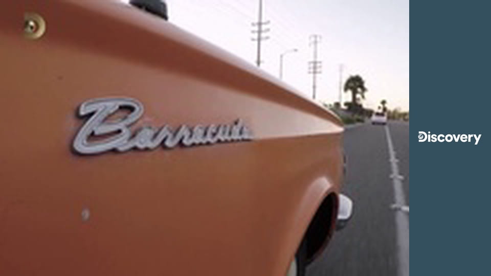 Rodení obchodníci XV (15)