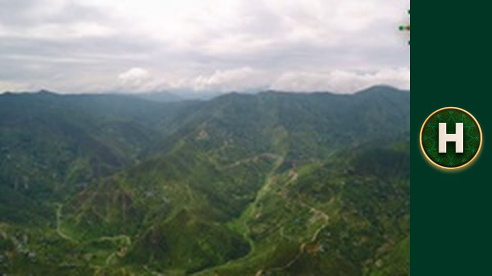 Орел і Решка. Земляни