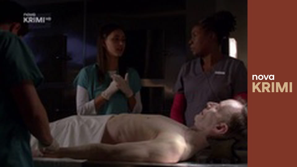 Myšlenky zločince S12E11