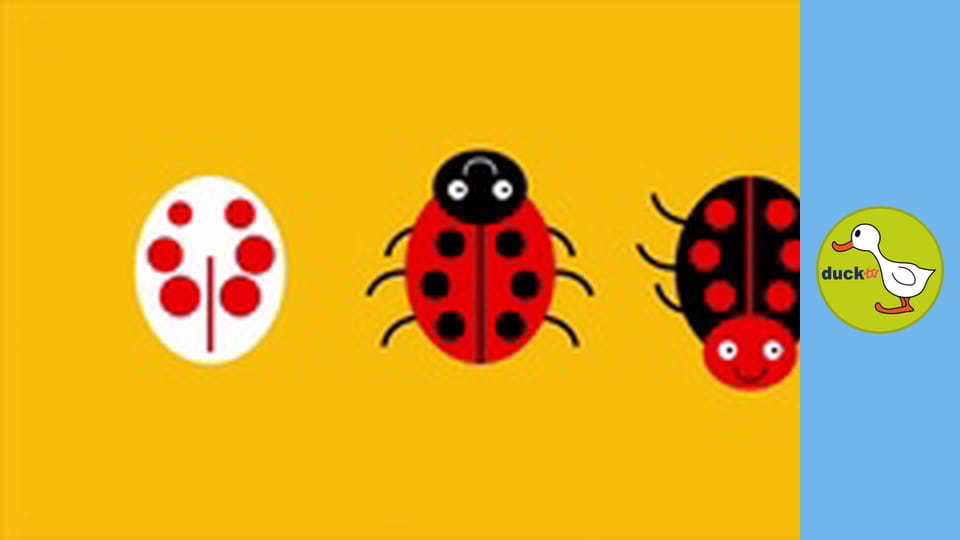 Forms Are Yours - Basic shapes I. - The Ladybugs