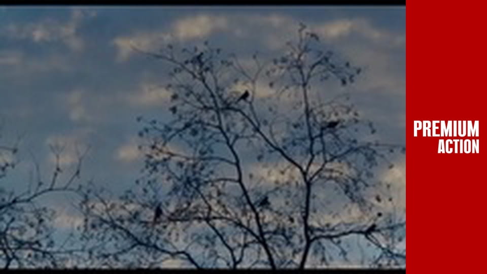 Гра пам'яті