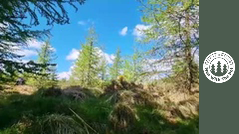 Najbardziej chrupiące ciastka rybne