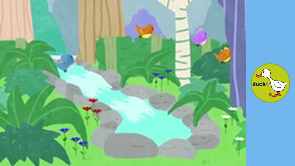 Sounds Around Us - Walk In The Forest