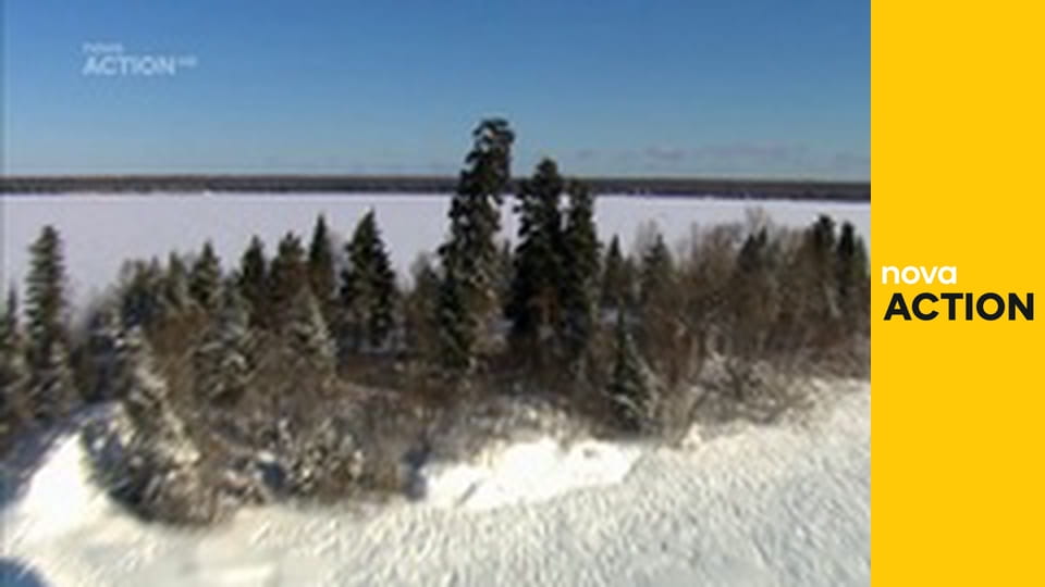 Mistři zastavárny S10E4