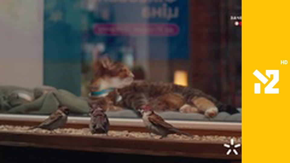 Перший український