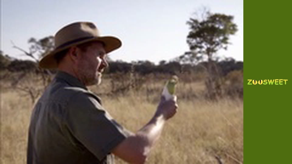 Wild Animals - episode 7