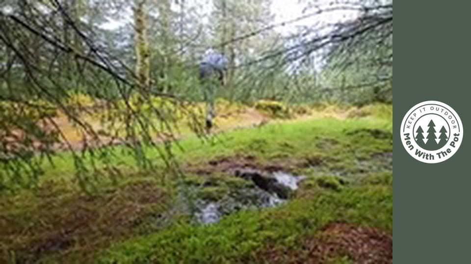 The PERFECT Smoked Fish in the Wilderness