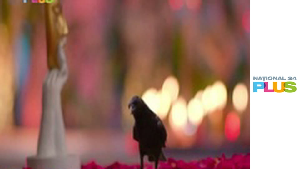 Destine Rătăcite 2 E222