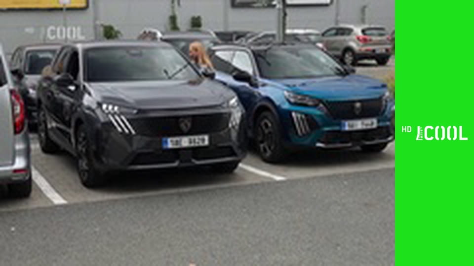 Griffinovi S1E9 - Malé a velké lži