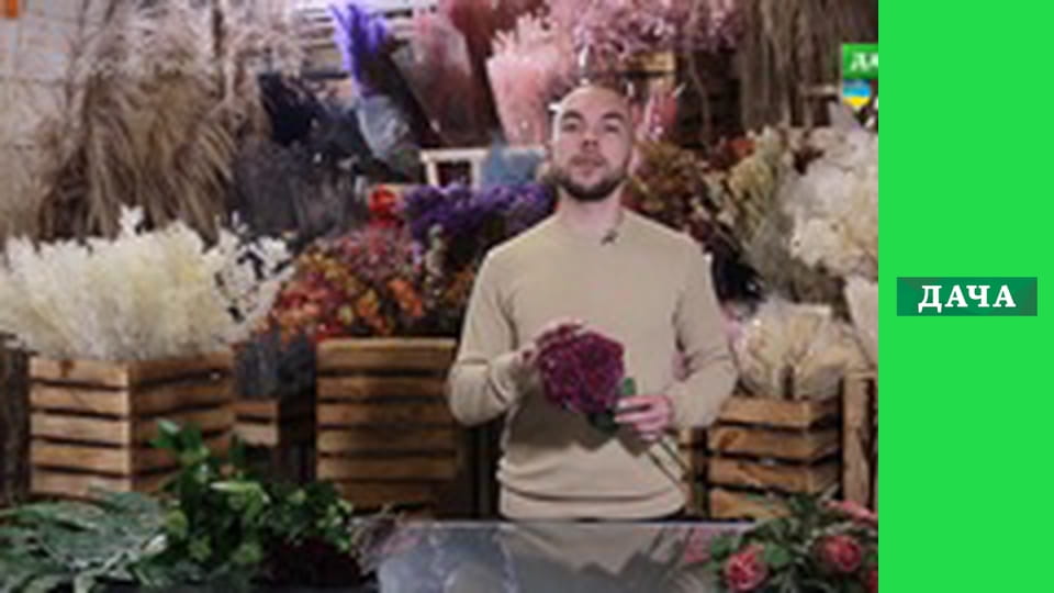 Флористичний гайд