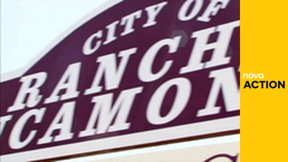 Mistři aukcí S2E9 - Zvířecí instinkty