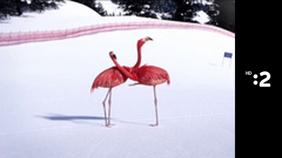 Roma Spirit - nominácie E1 - Kategória Mimovládna organizácia