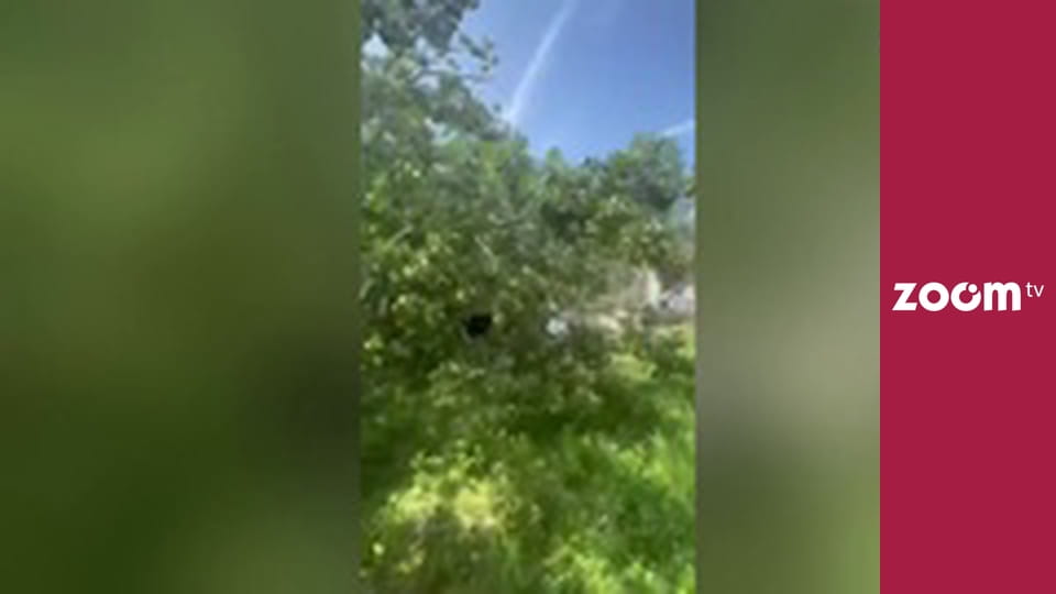 To leci w sieci S1E52