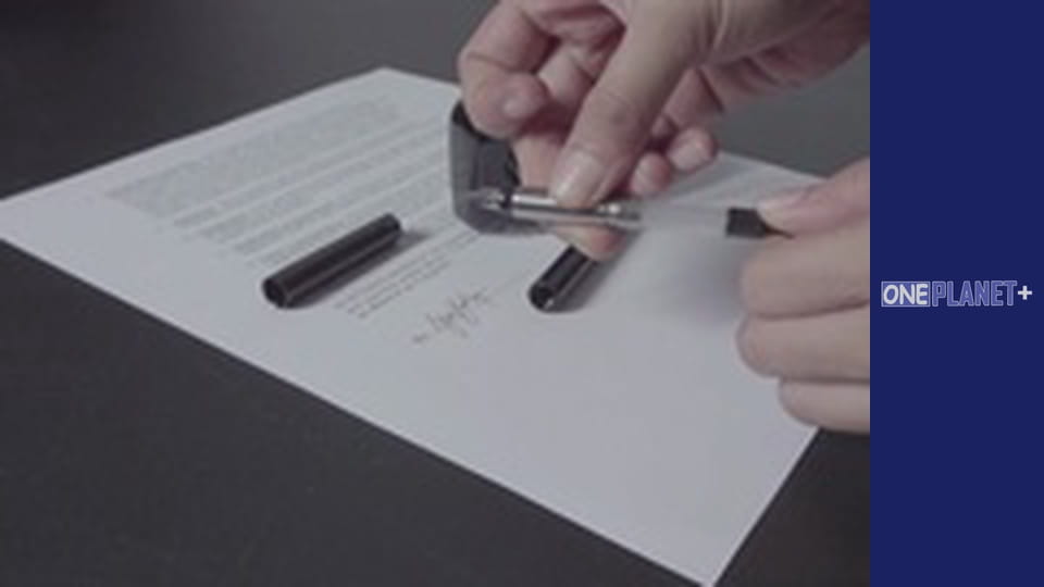 Цікаво, Сезон 1, Випуск 7