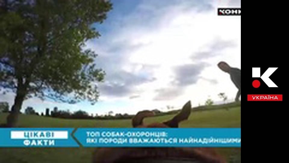 Цікаві факти.