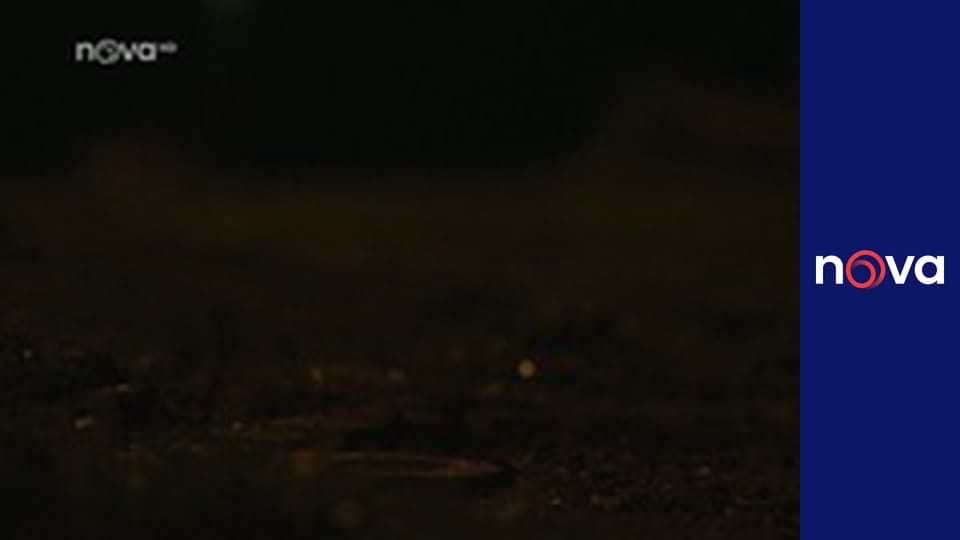 Kriminálka Anděl S5E11 - Případ Jidáš