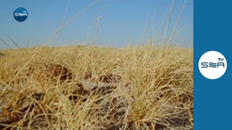 Pedro Around the World - Botswana