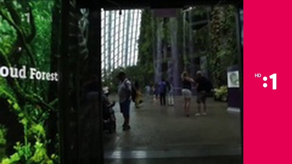 Destinácie E111 - Ostrov Mozambik – portugalský klenot v Afrike