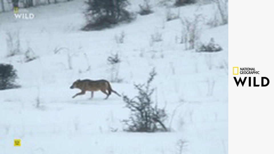 Divoké Středomoří S1E1 - Centrální oblast