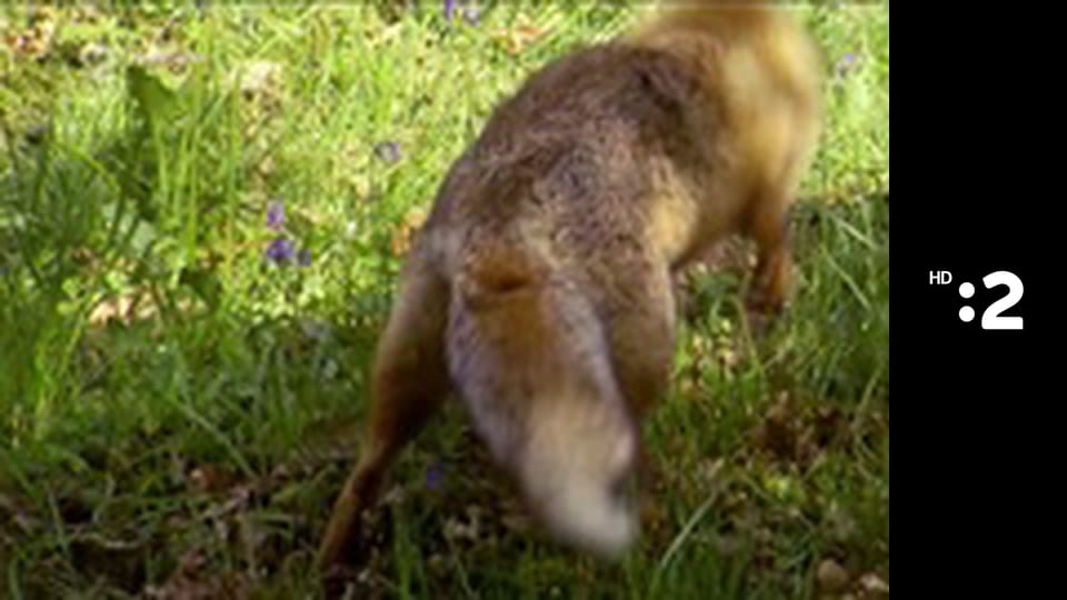 Zázračný miniateliér E100 - Buba a jej bubácki kamaráti