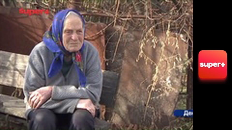 М/с "Симпсоны", 19 сезон, 20 с. "Все о Лисе".