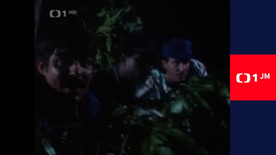 Magnum - Fanoušek tygrů