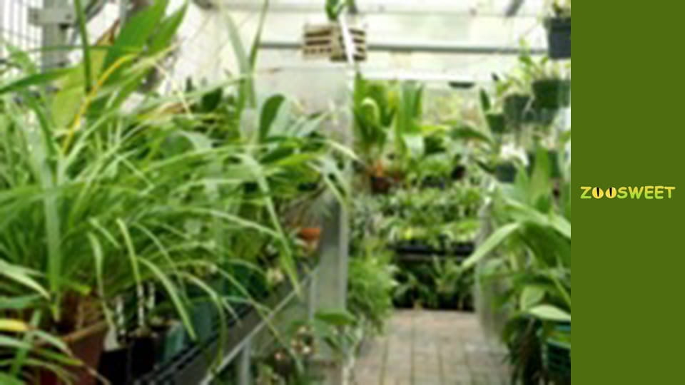 Дикий світ Сан-Дієго - серія 11