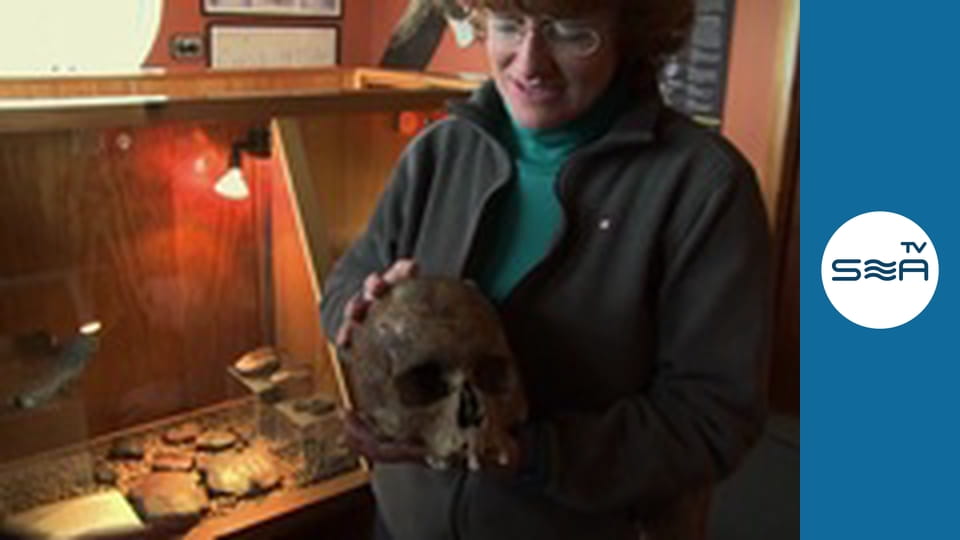 Distant Shores S08 - Issue 8