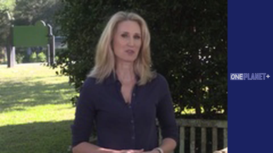 Ваш фантастичний розум, Сезон 1, Випуск 6