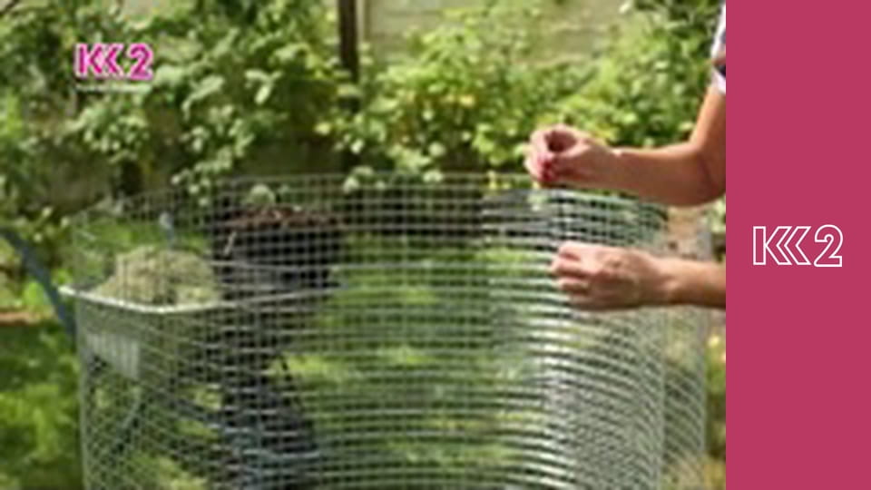 Удачний проект S2E41