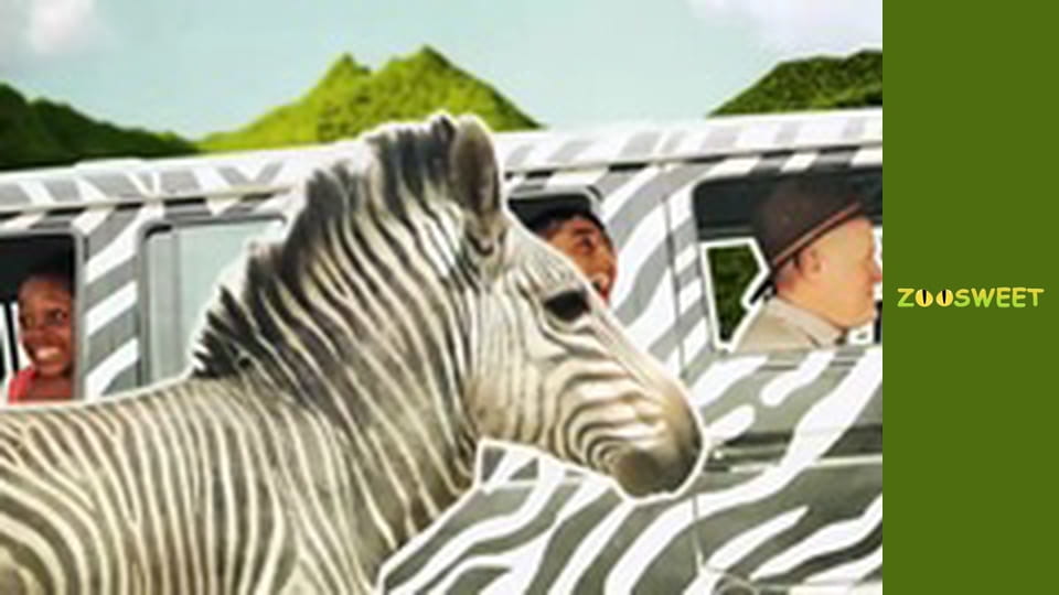 Сіяйа. Сезон 2 - серія 12