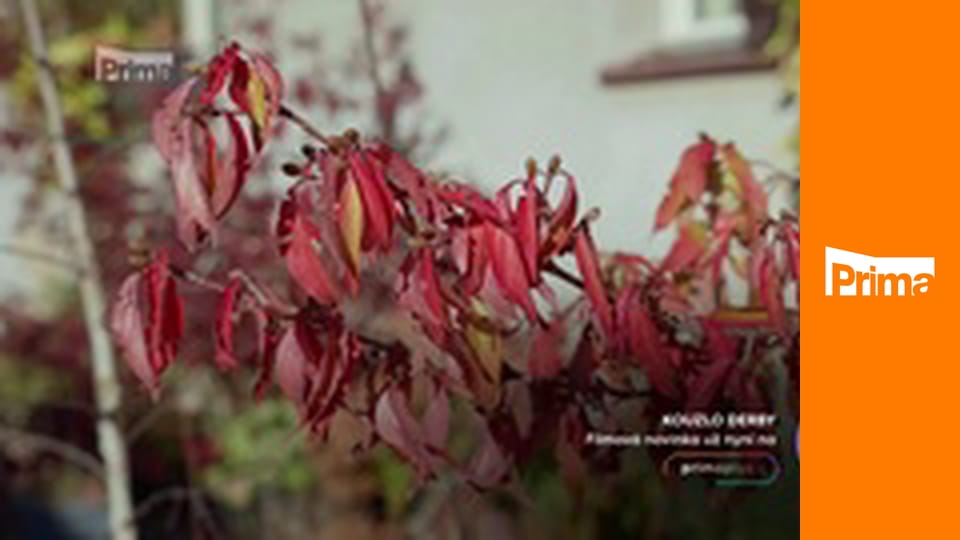 Receptář prima nápadů