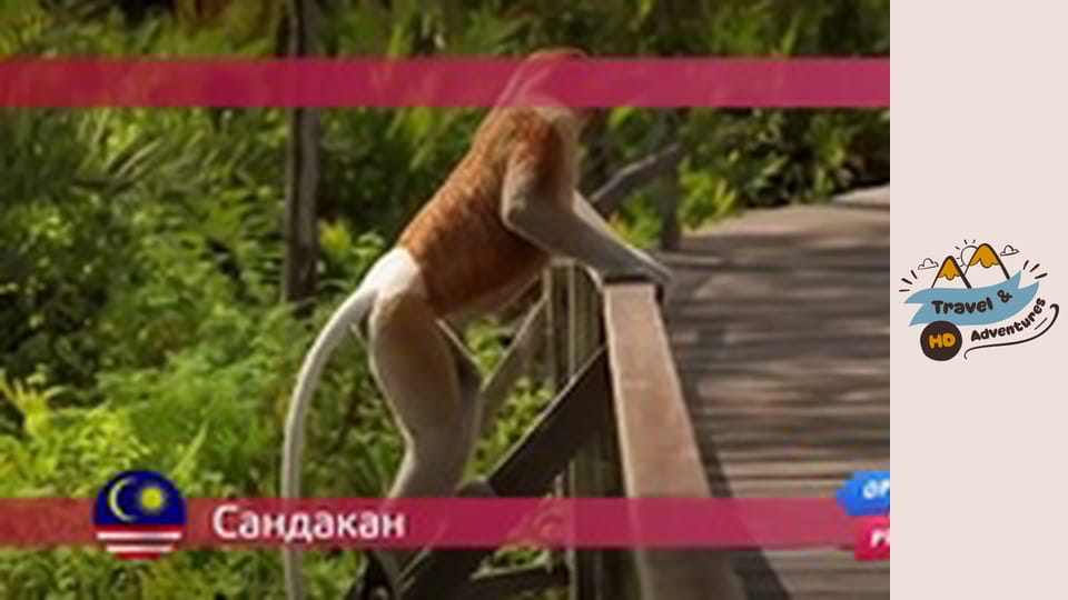 Travel & Adventures, Sandakan