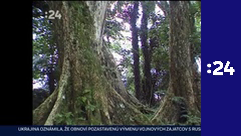 Cestománia E38 - Seychely a Maledivy – Dva raje