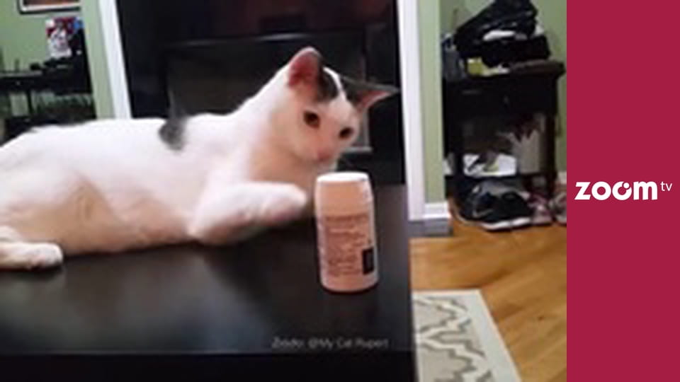 To leci w sieci S1E19