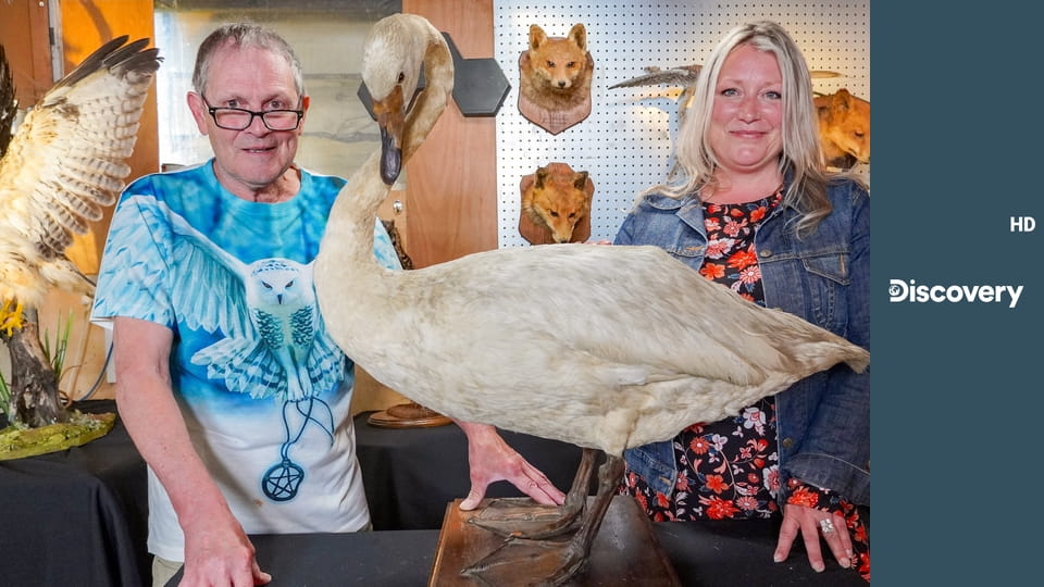 Реставраторы S6E11