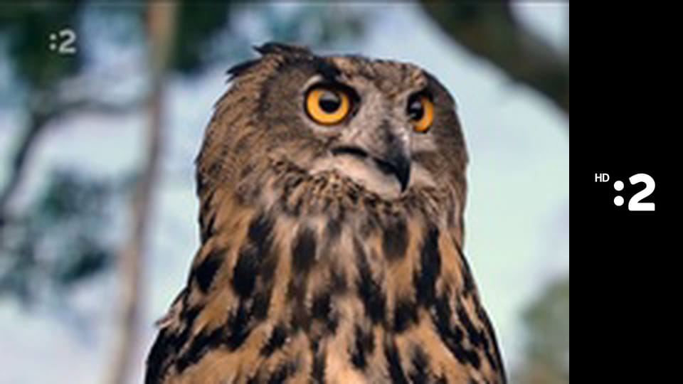 Slimák Maťo a škriatok Klinček E83 - Ako Maťo s Klinčekom schovali kľúč