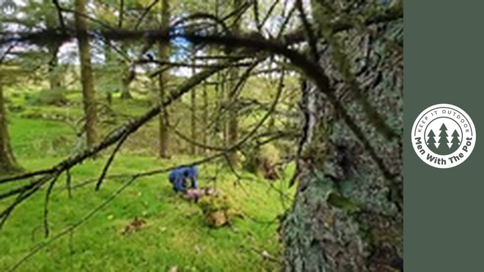 How to cook the Perfect Steak