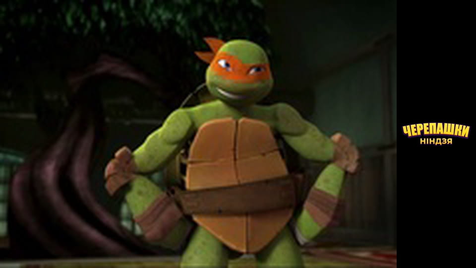 Teenage Mutant Ninja Turtles Season 1 Episode 24